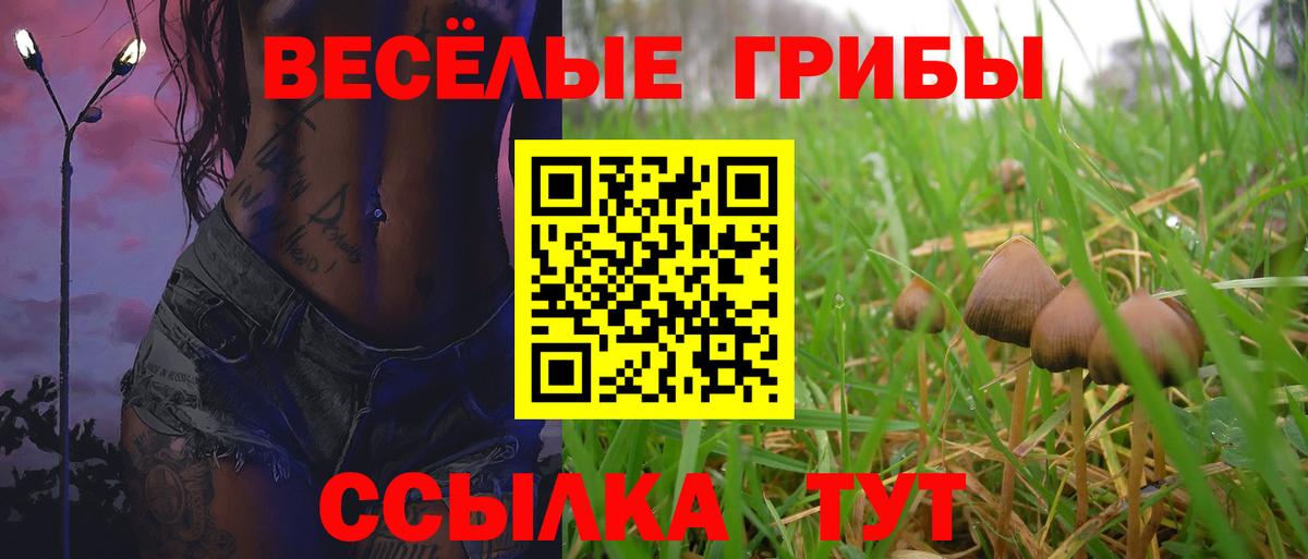 Псилоцибиновые грибы Psilocybine cubensis Малгобек