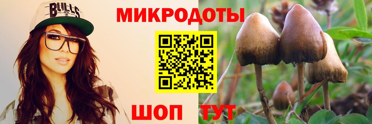 Малгобек  Галлюциногенные грибы ЛСД  Вход с VPN 